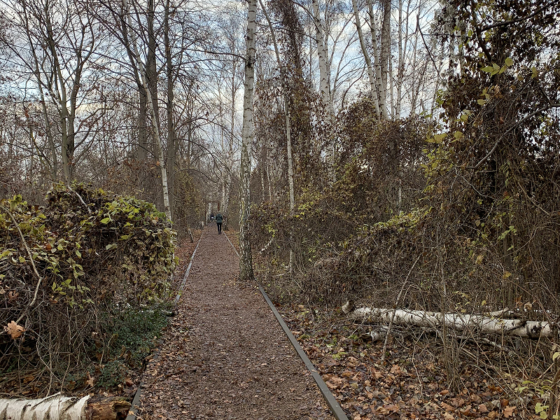 Na zdjęciu widoczne są nieczynne tory kolejowe, które przekształcono w ścieżkę. Po obu jej stronach rośnie dzika roślinność. Autorem fotografii jest Łukasz Andrzejewski.