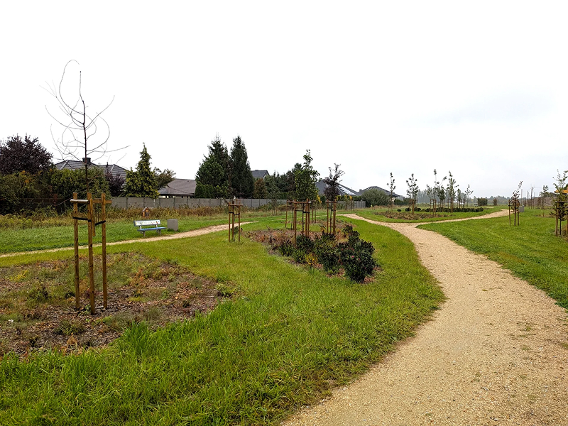 Zdjęcie ukazuje zielony skwer, z nasadzonymi roślinami i utwardzonymi ścieżkami. Fotografia pochodzi z archiwum Metropolii Poznań.