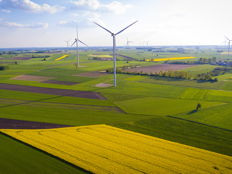 Fotografia z lotu ptaka przedstawia rozległe pola uprawne, na których ustawione są wiatraki produkujące energię. Zdjęcie pochodzi z adobe stock.
