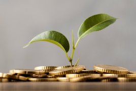 górka monet, z których wyrastają dwa liście