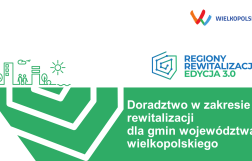 Doradztwo w zakresie rewitalizacji dla gmin województwa wielkopolskiego