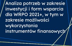 Analiza potrzeb w zakresie inwestycji i form wsparcia dla WRPO 2021+, w tym w zakresie możliwości wykorzystania instrumentów finansowych