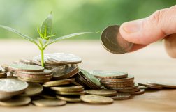 roślina wyrastająca z małego stosu monet