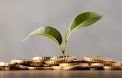 górka monet, z których wyrastają dwa liście