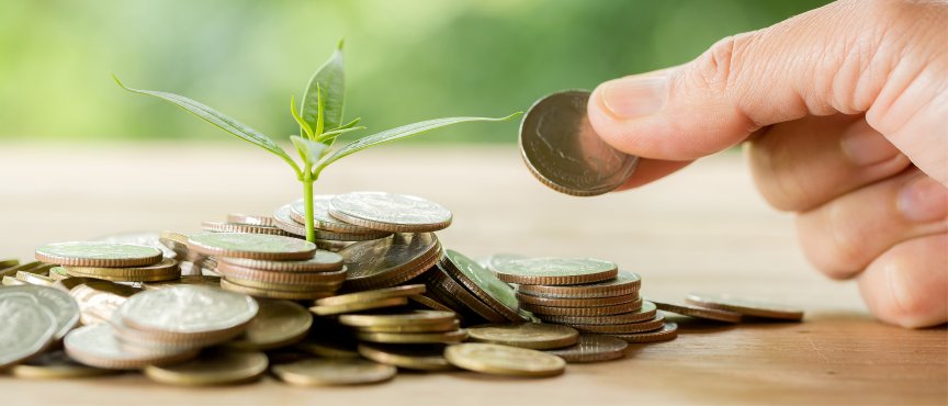 roślina wyrastająca z małego stosu monet