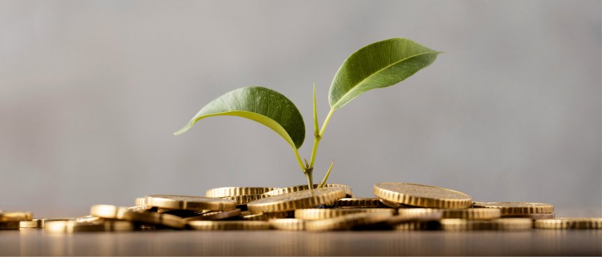 górka monet, z których wyrastają dwa liście